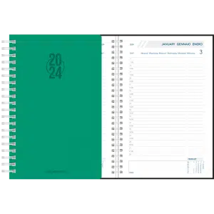 Agenda Daily 2024 wire-o - Groen