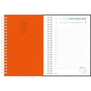 Agenda Daily 2024 wire-o - Oranje